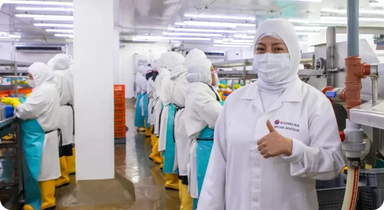 Certifications That Reinforce Our Global Leadership