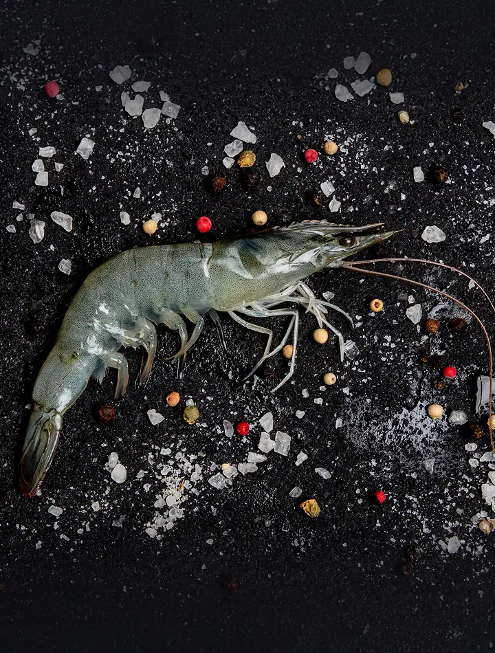 Head-on shell-on raw shrimp on crushed ice